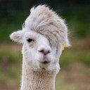 สมาชิกหมายเลข 2700801