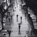 สมาชิกหมายเลข 1076854