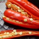 ป้าโอเด้งค่ะ