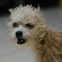 แม่จ๋าสับโครงไก่ให้กินหน่อย