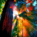 สมาชิกหมายเลข 1408598