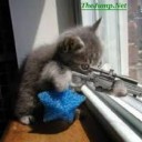 สมาชิกหมายเลข 1478514