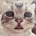 สมาชิกหมายเลข 2701119