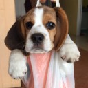 สมาชิกหมายเลข 2952285