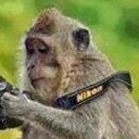 สมาชิกหมายเลข 973067