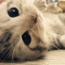 สมาชิกหมายเลข 1069028