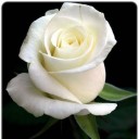 สมาชิกหมายเลข 1453677