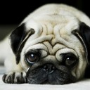 สมาชิกหมายเลข 1478741