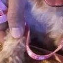 สมาชิกหมายเลข 1548621