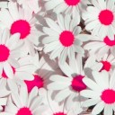 สมาชิกหมายเลข 2308939