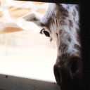 สมาชิกหมายเลข 1573771