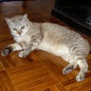 ไปทุกที่ ถ้ามีสตางค์