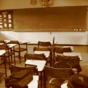 แมวนอนกล่อง