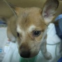 สมาชิกหมายเลข 1070330