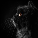 สมาชิกหมายเลข 2590962