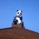 ปลานิลจิ๋ว