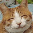 สมาชิกหมายเลข 1070869