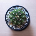 สมาชิกหมายเลข 1910485