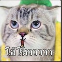 สมาชิกหมายเลข 1910775