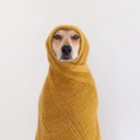 ตะละเละตุ้มเป๊ะ