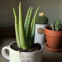 สมาชิกหมายเลข 2307942