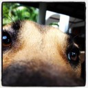 มีความฝันเล็กๆ...ไว้ให้เดินตาม