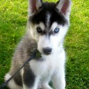 สมาชิกหมายเลข 1479798