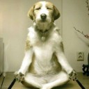 สมาชิกหมายเลข 1864696