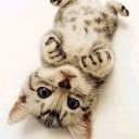 ในฝันฉันรักเทอ