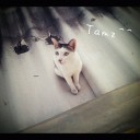 สมาชิกหมายเลข 1071509