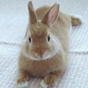 สมาชิกหมายเลข 1071701