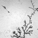 สมาชิกหมายเลข 1911461