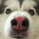 สมาชิกหมายเลข 2310585