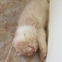 สมาชิกหมายเลข 807443