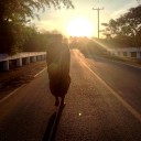 ไอ้ทิด
