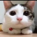 สมาชิกหมายเลข 1282478