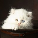 ขนมใส่ไส้...ห่อใบตอง