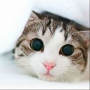 สมาชิกหมายเลข 1136781