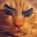 สมาชิกหมายเลข 1911737