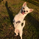 สมาชิกหมายเลข 834805