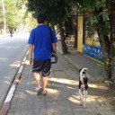 สมาชิกหมายเลข 1029298