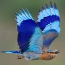 สมาชิกหมายเลข 2310502