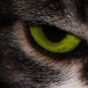 สมาชิกหมายเลข 2696599