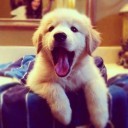 สมาชิกหมายเลข 2701714