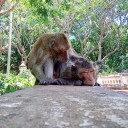 สมาชิกหมายเลข 3589617