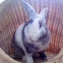 พายุสีเงิน