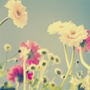 ชูบีดูบีดูปั๊บปา