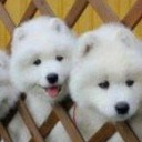 สมาชิกหมายเลข 705259