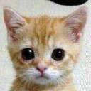 สมาชิกหมายเลข 1071929