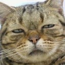 สมาชิกหมายเลข 2311147